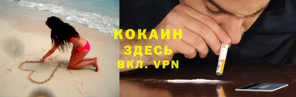 дмт Вяземский