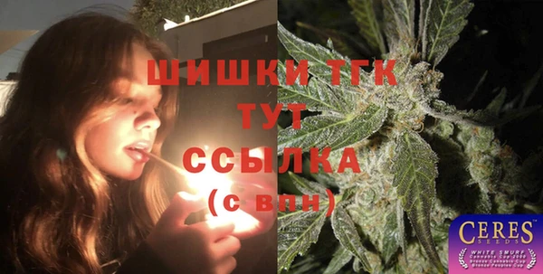 PSILOCYBIN Вязьма
