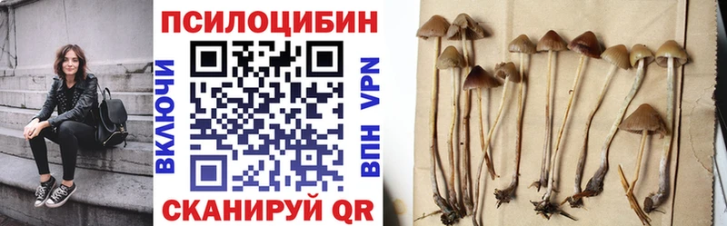 где можно купить наркотик  МЕГА ТОР  Псилоцибиновые грибы Psilocybe  Емва 